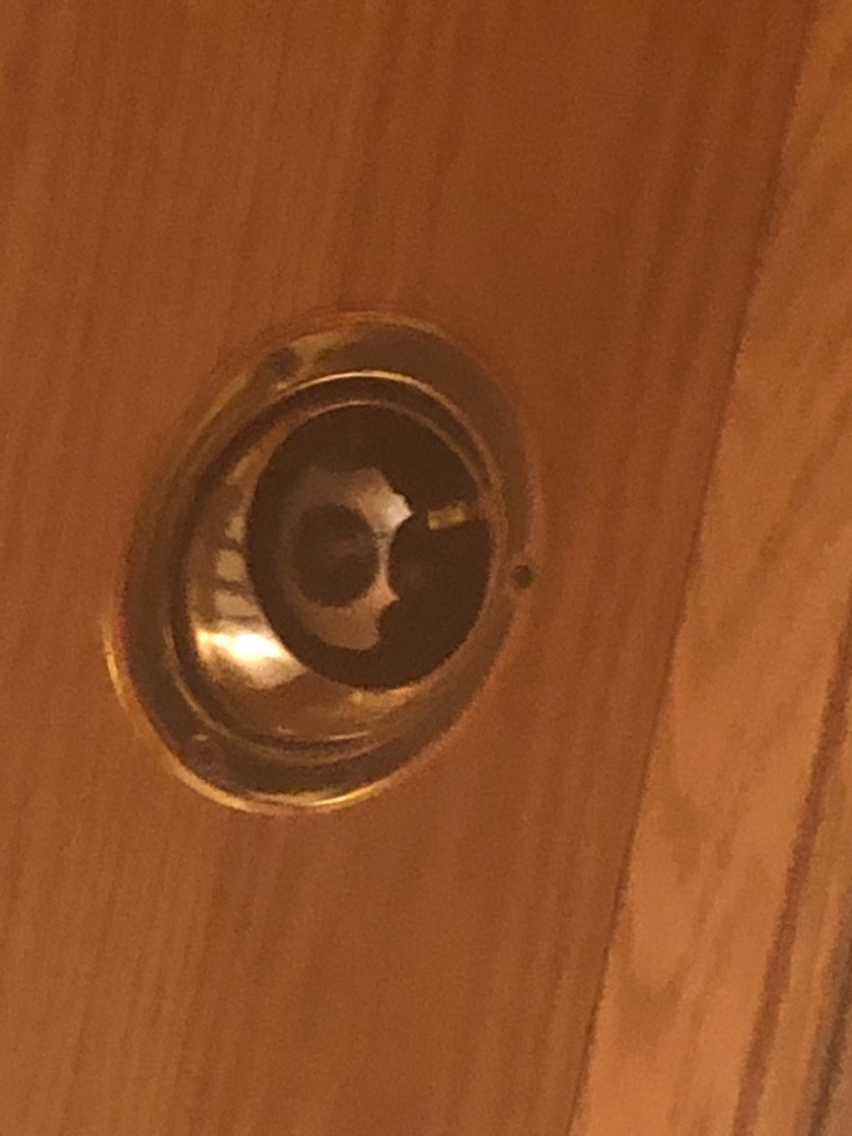 Photo by Charleen Slesinski of Expedient Movers - Large