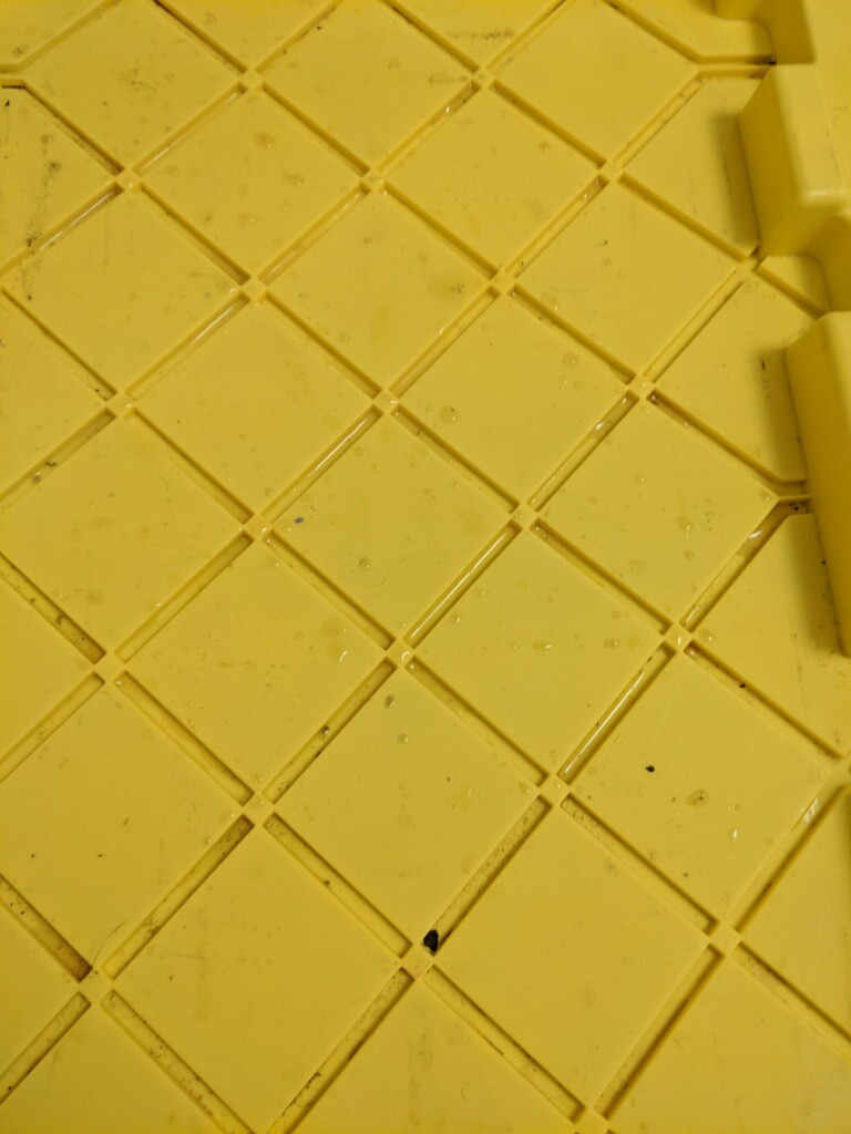 Photo by Curtis Jenkins of Maya Van Lines - Large