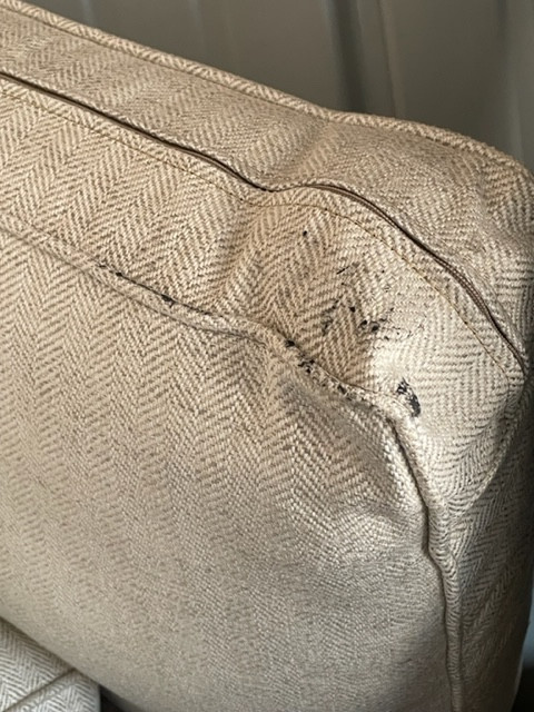 Photo by Stephanie Angelos of National Van Lines Inc - Large