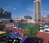 Best Maryland Movers Reviews