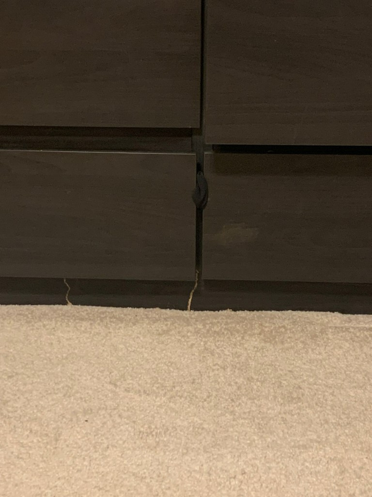 Second photo by Amy Pawlukiewicz of Move Central - Large